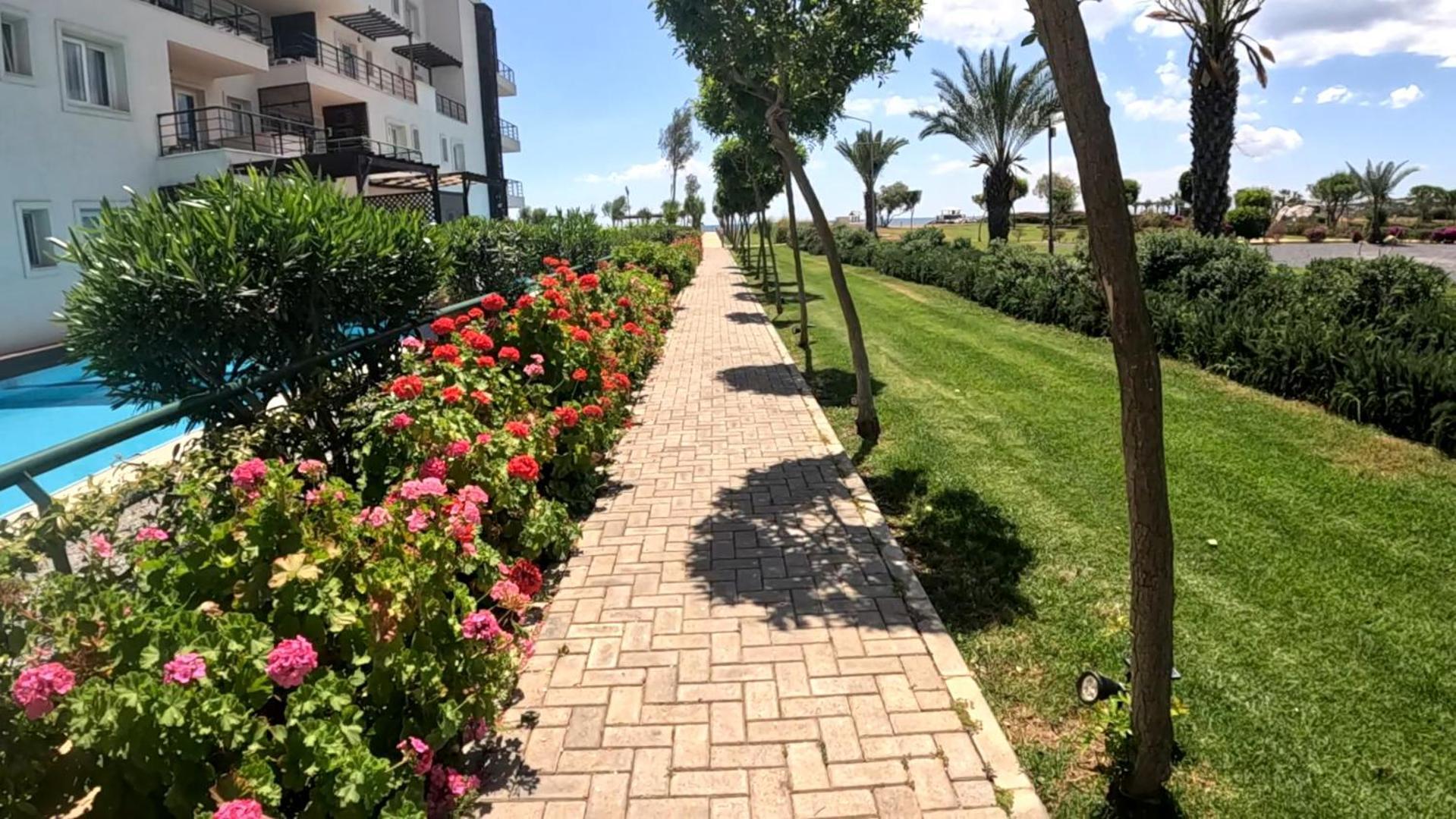 Great Seaview Appartments In Thalassa Vokolidha Buitenkant foto
